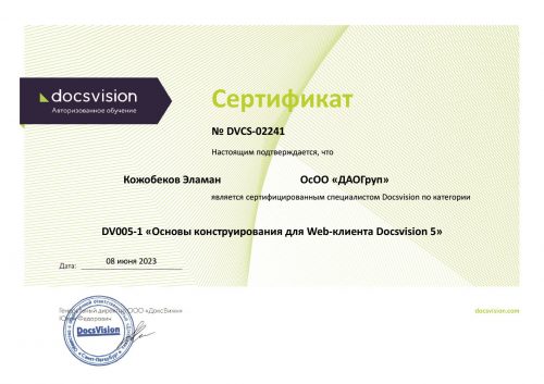 ДоксВижн Эламан основы конструирования 