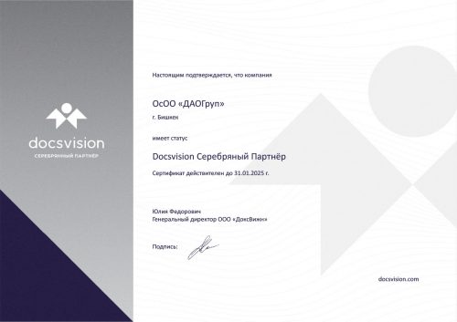 Docsvision 2024 Silver